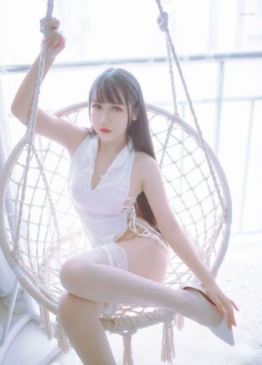 《赖猫的狮子倒影》电视剧