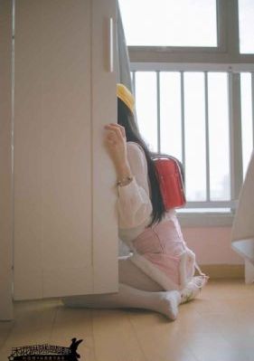 石纪元免费观看第一季