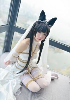 方谬神探电视剧免费观看