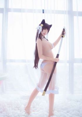 天坑鹰猎电视剧免费观看完整版